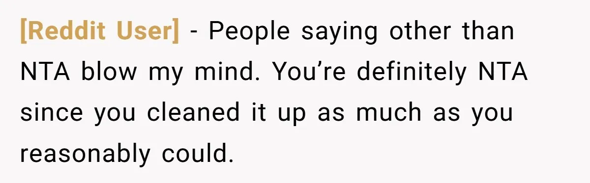 [Reddit User] − People saying other than NTA blow my mind. You’re definitely NTA since you cleaned it up as much as you reasonably could.