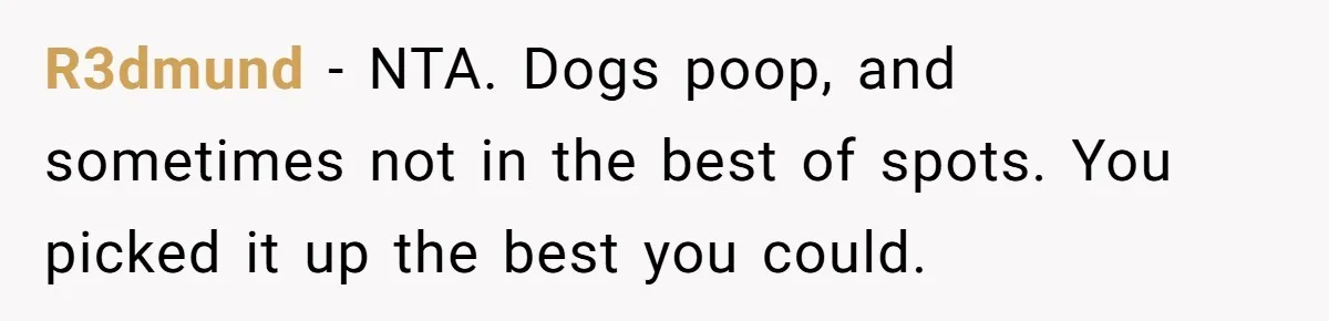 Dog Poops On NYC Sidewalk, Café Owner Comes Out Furious, Owner Says It’s Public Space R3dmund − NTA. Dogs poop, and sometimes not in the best of spots. You picked it up the best you could.
