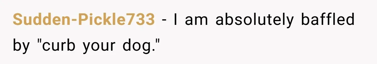 Dog Poops On NYC Sidewalk, Café Owner Comes Out Furious, Owner Says It’s Public Space Sudden-Pickle733 − I am absolutely baffled by "curb your dog."