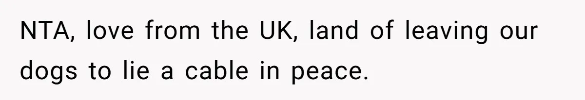 Dog Poops On NYC Sidewalk, Café Owner Comes Out Furious, Owner Says It’s Public Space NTA, love from the UK, land of leaving our dogs to lie a cable in peace.