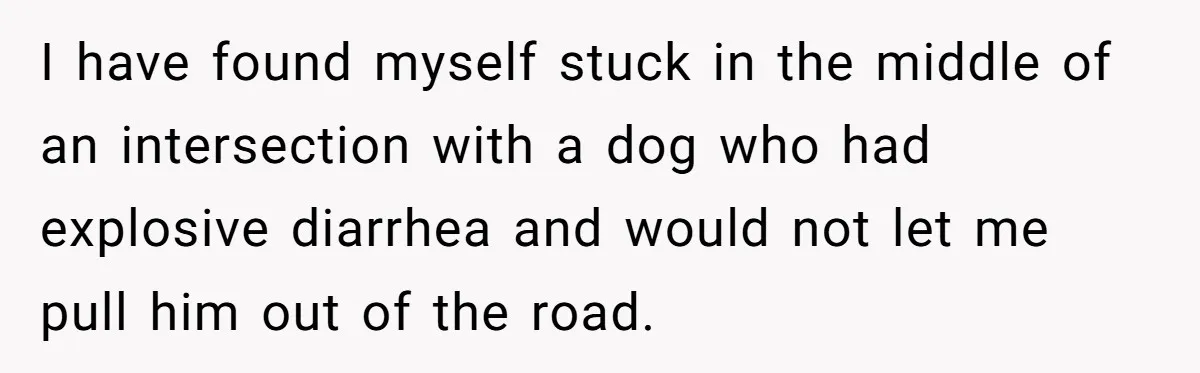 Dog Poops On NYC Sidewalk, Café Owner Comes Out Furious, Owner Says It’s Public Space I have found myself stuck in the middle of an intersection with a dog who had explosive diarrhea and would not let me pull him out of the road.