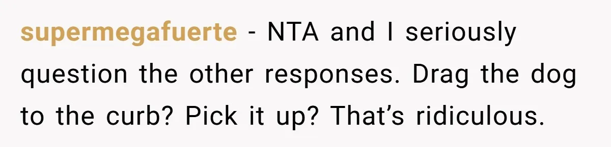 Dog Poops On NYC Sidewalk, Café Owner Comes Out Furious, Owner Says It’s Public Space supermegafuerte − NTA and I seriously question the other responses. Drag the dog to the curb? Pick it up? That’s ridiculous.