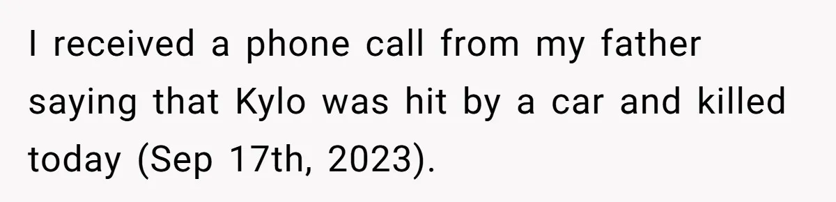 Woman Refuses To Let Parents Babysit Grandkids After They Disregard Her Wishes And Kill Her Cat I received a phone call from my father saying that Kylo was hit by a car and killed today (Sep 17th, 2023).