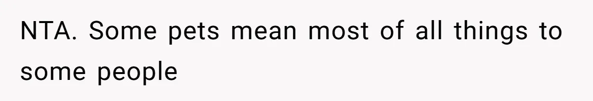 Woman Refuses To Let Parents Babysit Grandkids After They Disregard Her Wishes And Kill Her Cat NTA. Some pets mean most of all things to some people