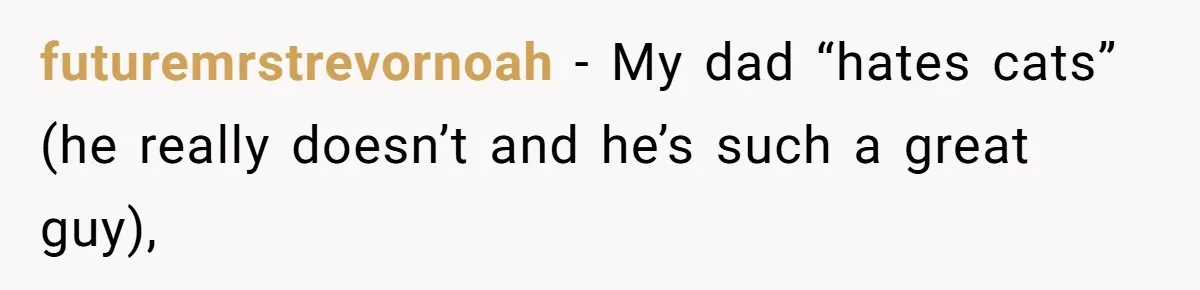 Woman Refuses To Let Parents Babysit Grandkids After They Disregard Her Wishes And Kill Her Cat futuremrstrevornoah − My dad “hates cats” (he really doesn’t and he’s such a great guy),