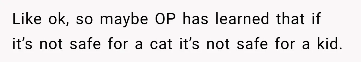Woman Refuses To Let Parents Babysit Grandkids After They Disregard Her Wishes And Kill Her Cat Like ok, so maybe OP has learned that if it’s not safe for a cat it’s not safe for a kid.