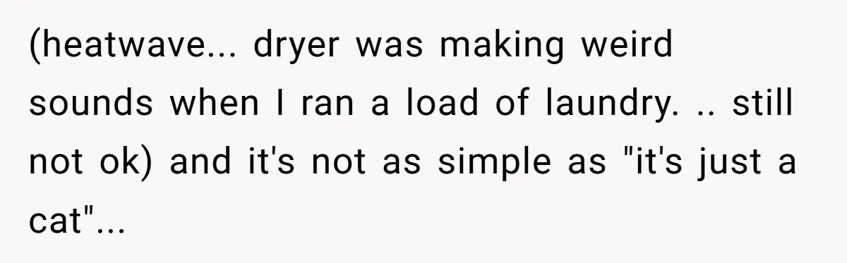 Woman Refuses To Let Parents Babysit Grandkids After They Disregard Her Wishes And Kill Her Cat (heatwave... dryer was making weird sounds when I ran a load of laundry. .. still not ok) and it's not as simple as "it's just a cat"...