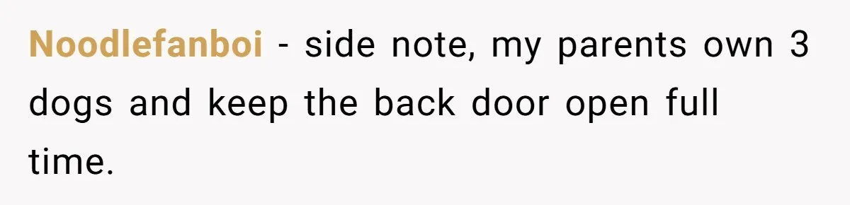 Woman Refuses To Let Parents Babysit Grandkids After They Disregard Her Wishes And Kill Her Cat Noodlefanboi − side note, my parents own 3 dogs and keep the back door open full time.