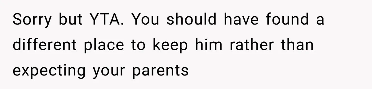 Woman Refuses To Let Parents Babysit Grandkids After They Disregard Her Wishes And Kill Her Cat Sorry but YTA. You should have found a different place to keep him rather than expecting your parents