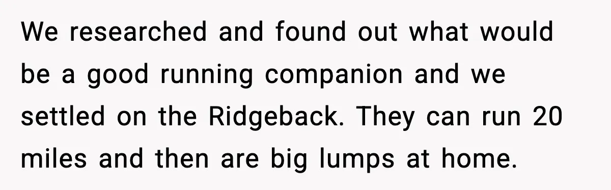 We researched and found out what would be a good running companion and we settled on the Ridgeback. They can run 20 miles and then are big lumps at home.
