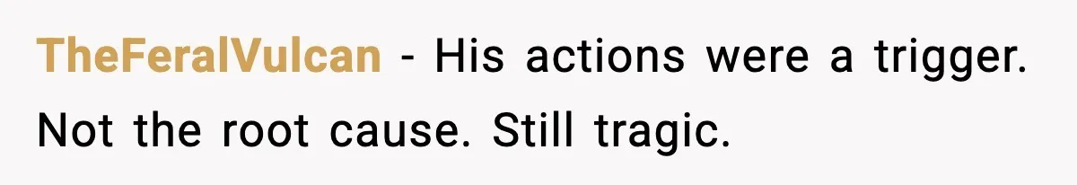 TheFeralVulcan - His actions were a trigger. Not the root cause. Still tragic.