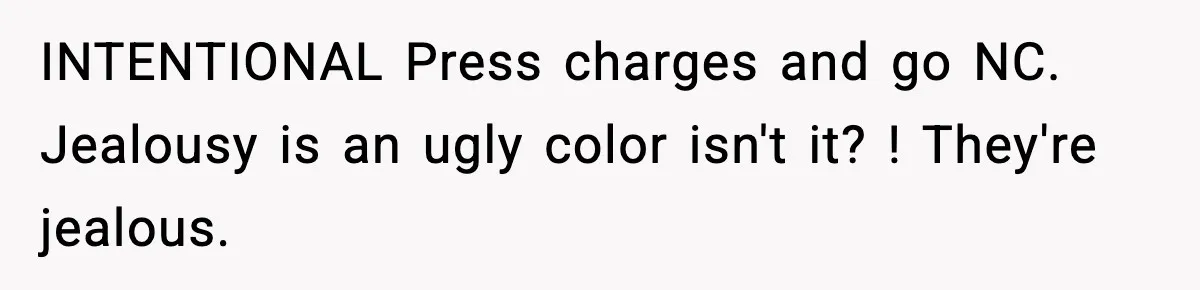 INTENTIONAL Press charges and go NC. Jealousy is an ugly color isn't it? ! They're jealous.