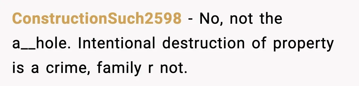 ConstructionSuch2598 − No, not the a__hole. Intentional destruction of property is a crime, family r not.