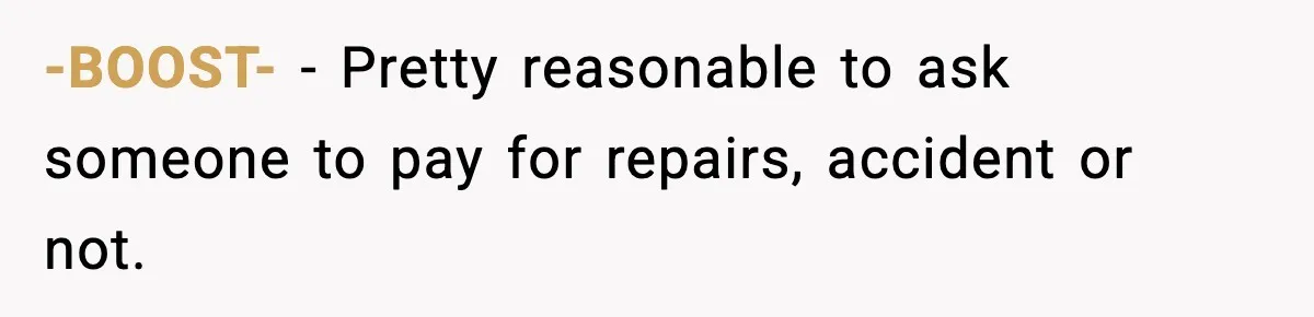 -BOOST- − Pretty reasonable to ask someone to pay for repairs, accident or not.
