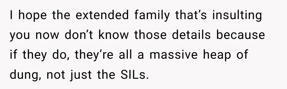 I hope the extended family that’s insulting you now don’t know those details because if they do, they’re all a massive heap of dung, not just the SILs.
