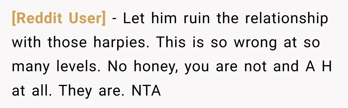[Reddit User] − Let him ruin the relationship with those harpies. This is so wrong at so many levels. No honey, you are not and A H at all. They...