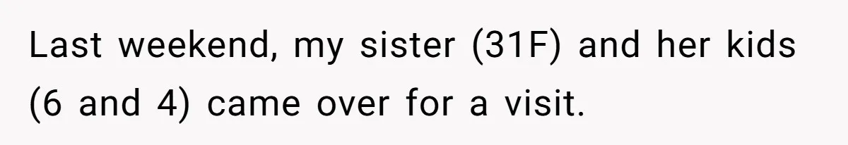 Last weekend, my sister (31F) and her kids (6 and 4) came over for a visit.