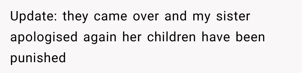 Update: they came over and my sister apologised again her children have been punished
