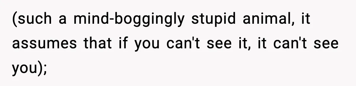 Man Secretly Unpacks Girlfriend’s Hair Towel Before Family Trip Because He’s Afraid She’ll Look “Weird,” Now She Wants Space (such a mind-boggingly stupid animal, it assumes that if you can't see it, it can't see you);