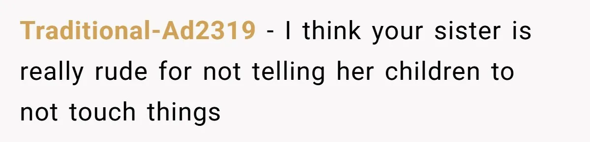 Traditional-Ad2319 − I think your sister is really rude for not telling her children to not touch things