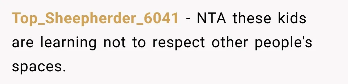 Top_Sheepherder_6041 − NTA these kids are learning not to respect other people's spaces.