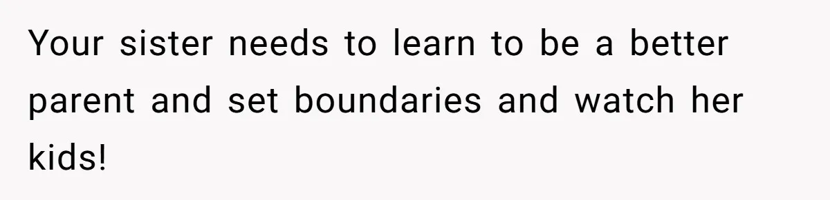 Your sister needs to learn to be a better parent and set boundaries and watch her kids!