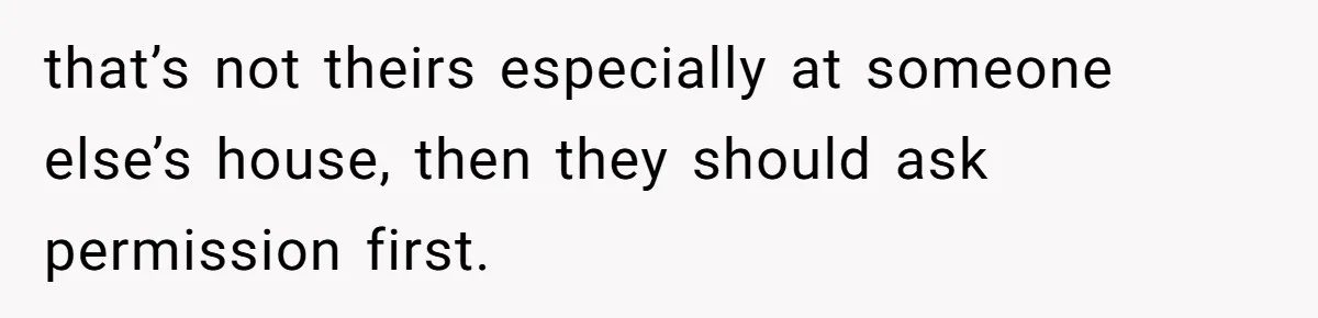 that’s not theirs especially at someone else’s house, then they should ask permission first.