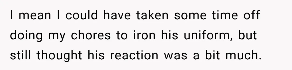 I mean I could have taken some time off doing my chores to iron his uniform, but still thought his reaction was a bit much.