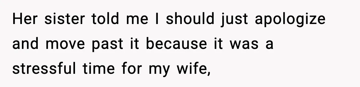 Her sister told me I should just apologize and move past it because it was a stressful time for my wife,