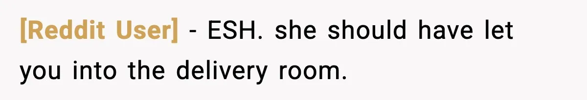 [Reddit User] − ESH. she should have let you into the delivery room.