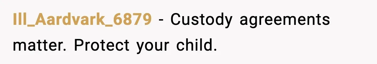Ill_Aardvark_6879 - Custody agreements matter. Protect your child.