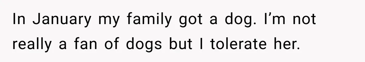 Dog Messes With Wasted Pads, Helpless Dad Tells Daughter To 'Grow Up' And Use Tampons For Easy Flush In January my family got a dog. I’m not really a fan of dogs but I tolerate her.
