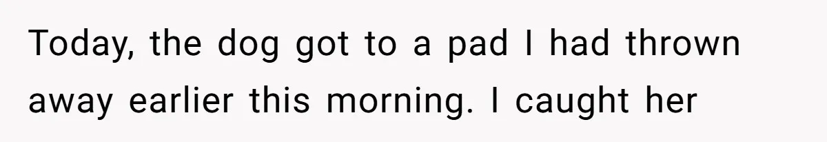 Dog Messes With Wasted Pads, Helpless Dad Tells Daughter To 'Grow Up' And Use Tampons For Easy Flush Today, the dog got to a pad I had thrown away earlier this morning. I caught her