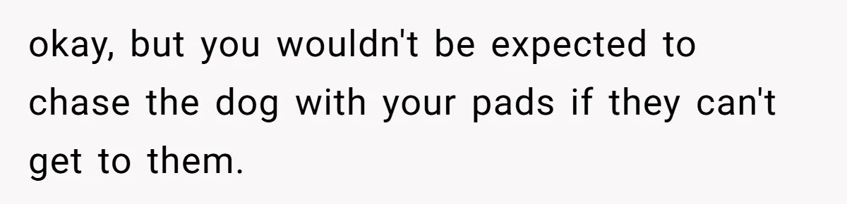 Dog Messes With Wasted Pads, Helpless Dad Tells Daughter To 'Grow Up' And Use Tampons For Easy Flush okay, but you wouldn't be expected to chase the dog with your pads if they can't get to them.