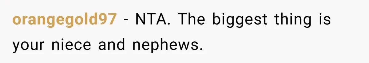 orangegold97 − NTA. The biggest thing is your niece and nephews.