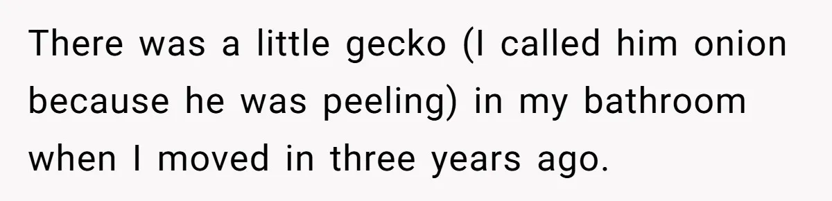 There was a little gecko (I called him onion because he was peeling) in my bathroom when I moved in three years ago.