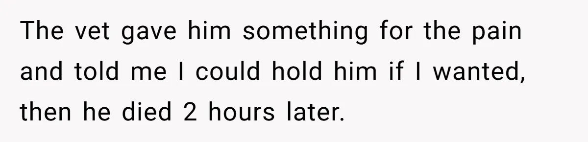 The vet gave him something for the pain and told me I could hold him if I wanted, then he died 2 hours later.