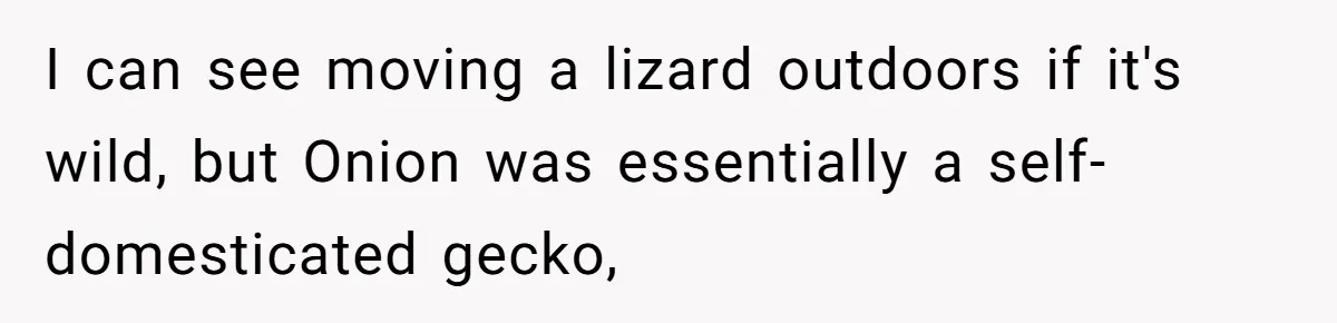 I can see moving a lizard outdoors if it's wild, but Onion was essentially a self-domesticated gecko,