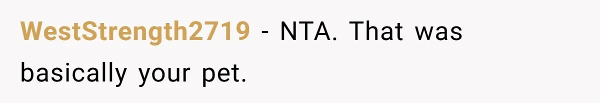WestStrength2719 − NTA. That was basically your pet.