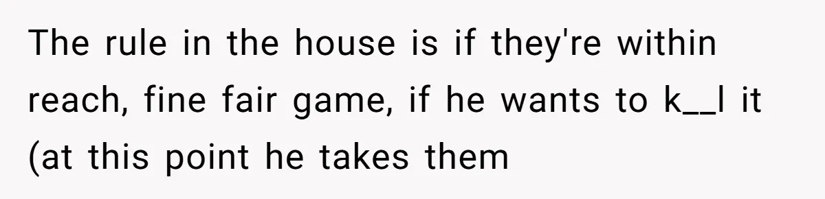 The rule in the house is if they're within reach, fine fair game, if he wants to k__l it (at this point he takes them