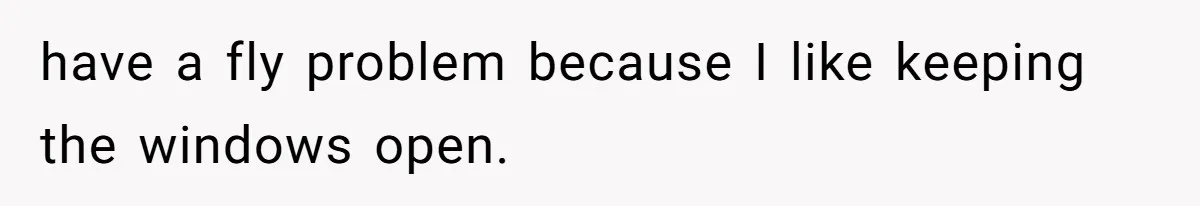 have a fly problem because I like keeping the windows open.