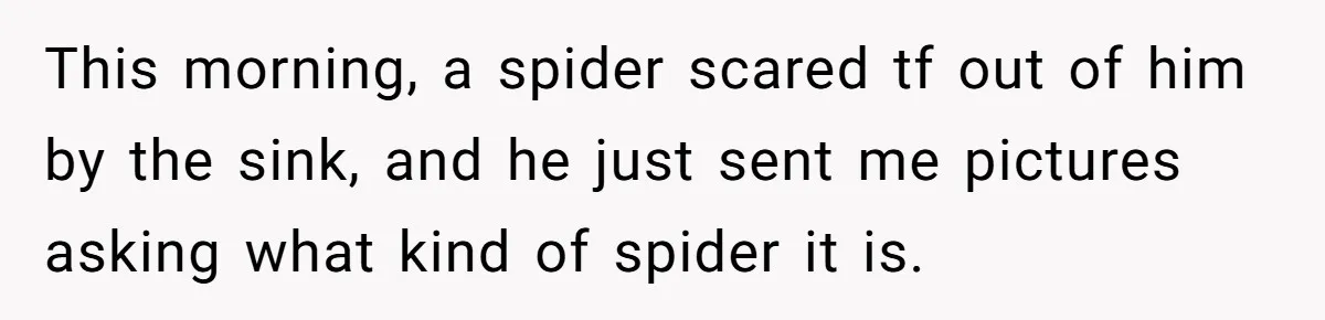 This morning, a spider scared tf out of him by the sink, and he just sent me pictures asking what kind of spider it is.