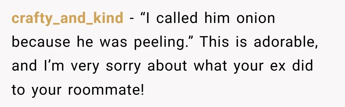 crafty_and_kind − “I called him onion because he was peeling.” This is adorable, and I’m very sorry about what your ex did to your roommate!