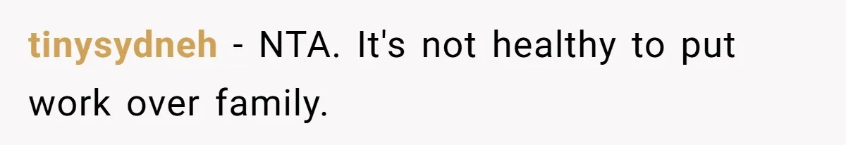 tinysydneh − NTA. It's not healthy to put work over family.