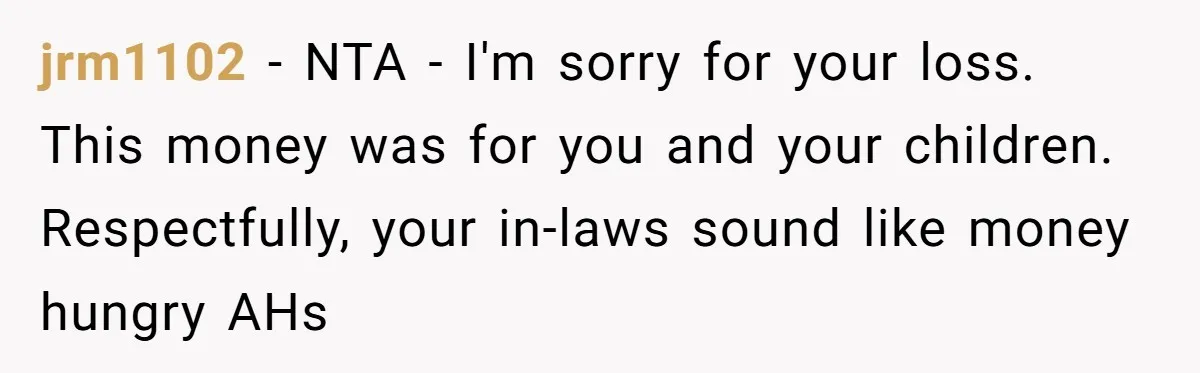 Widow Refuses To Give Late Husband’s Life Insurance Payout To In-Laws, Sparks Family Drama jrm1102 − NTA - I'm sorry for your loss. This money was for you and your children. Respectfully, your in-laws sound like money hungry AHs