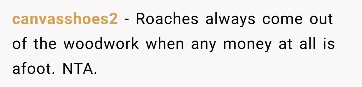 Widow Refuses To Give Late Husband’s Life Insurance Payout To In-Laws, Sparks Family Drama canvasshoes2 − Roaches always come out of the woodwork when any money at all is afoot. NTA.