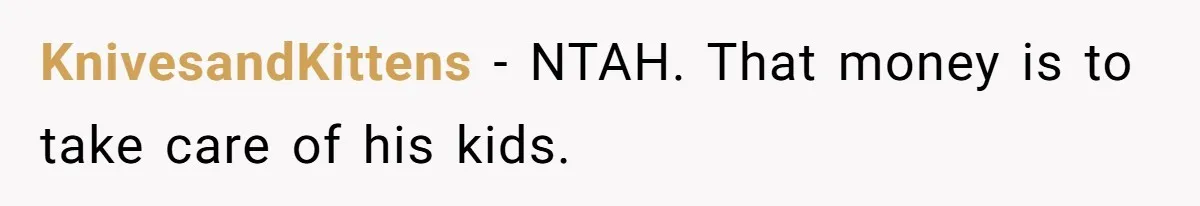 Widow Refuses To Give Late Husband’s Life Insurance Payout To In-Laws, Sparks Family Drama KnivesandKittens − NTAH. That money is to take care of his kids.