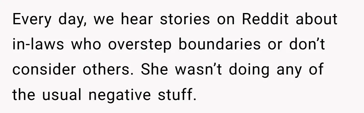 Every day, we hear stories on Reddit about in-laws who overstep boundaries or don’t consider others. She wasn’t doing any of the usual negative stuff.