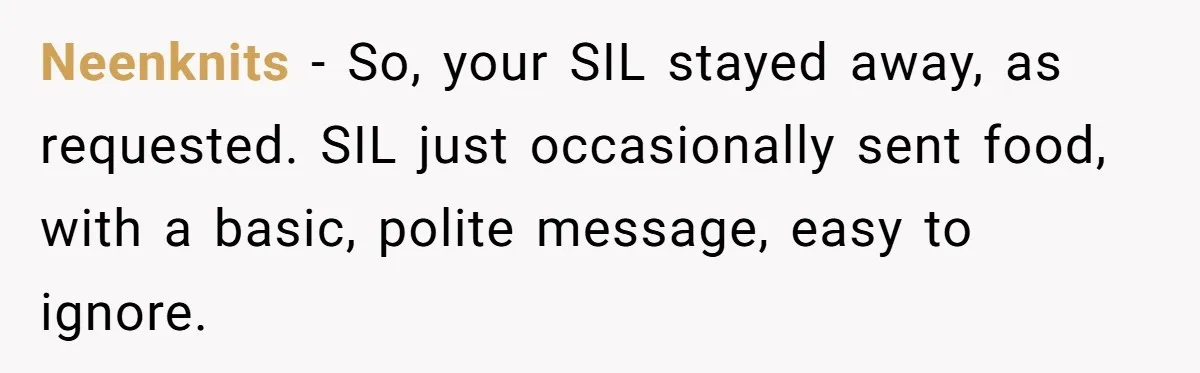 Neenknits − So, your SIL stayed away, as requested. SIL just occasionally sent food, with a basic, polite message, easy to ignore.