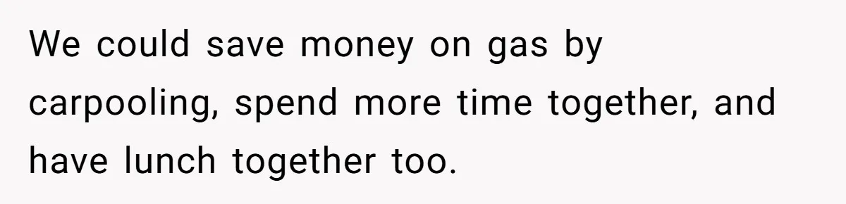 We could save money on gas by carpooling, spend more time together, and have lunch together too.